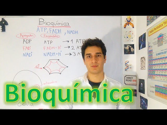 Biochemistry: ATP, FADH and NADH. Expert level for beginners. IN 7 MINUTES