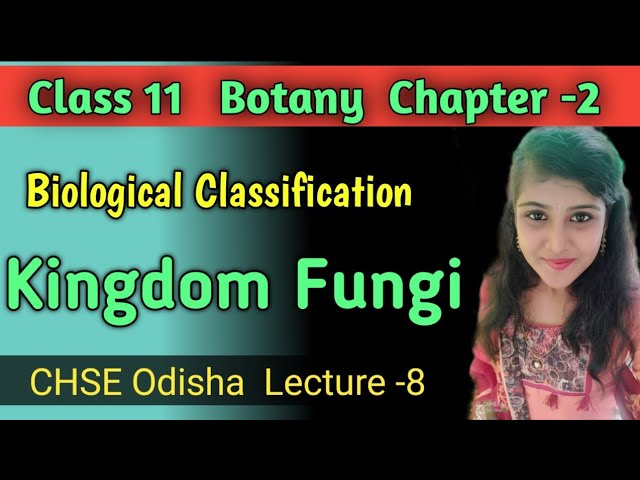 Class 11 Botany Biological Classification ||Kingdom Fungi ||CHSE Odisha ||