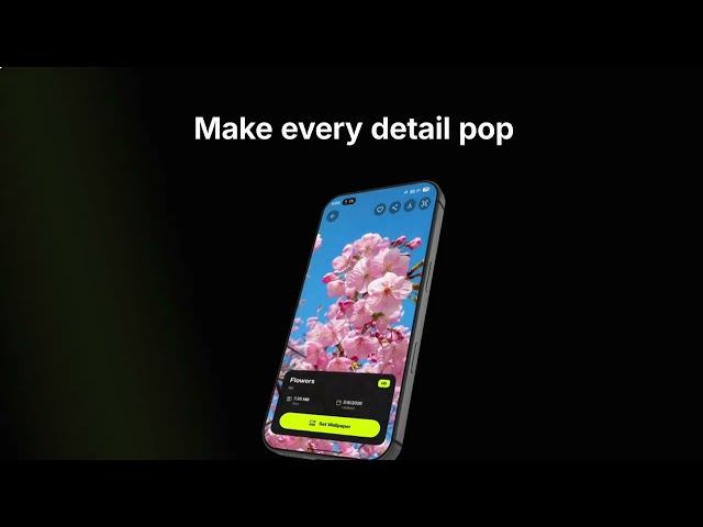 ArtlyX: Wallpapers & Ringtones | HD & 4K Wallpapers, Daily Picks & Premium Ringtones