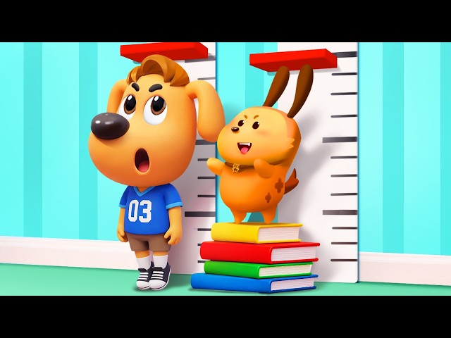 🔴LIVE | Pet Care | We Love Our Pets | Kids Cartoon | Sheriff Labrador