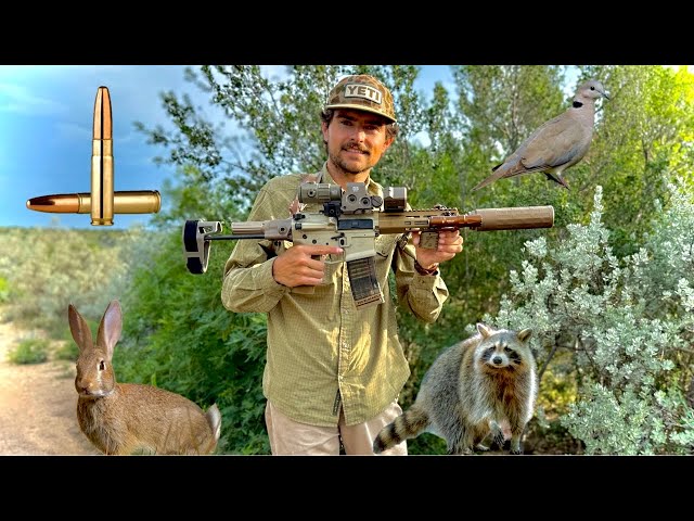 The Ultimate Apocalypse Survival Gun 