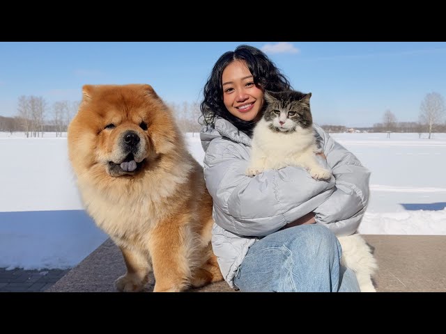 Our Cat sees Snow for the FIRST Time *His reaction*