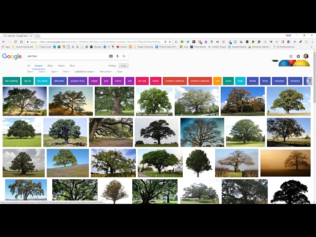 SMART Notebook   Activity Builder