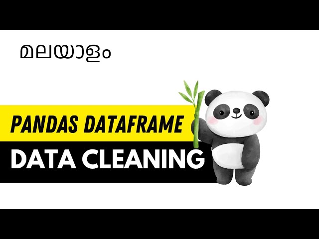 Step-by-Step Data Cleaning in Python Pandas! Tutorial #4