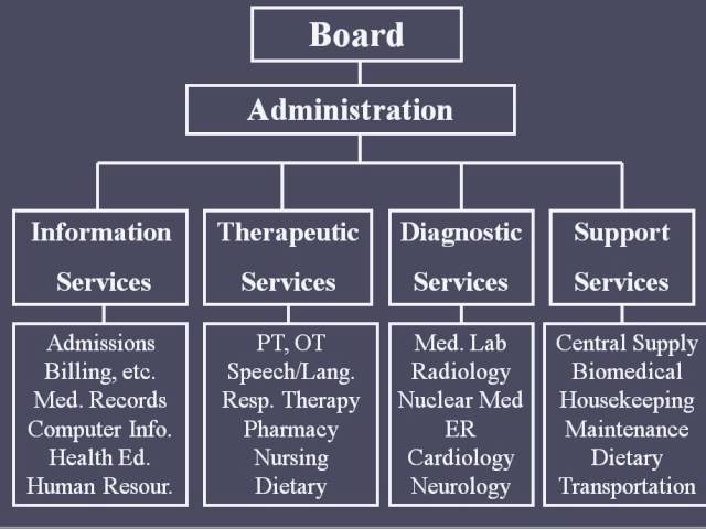 Hospital Organizational Structure