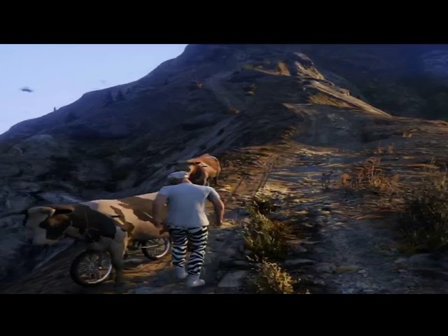 Gta V funny moments #2