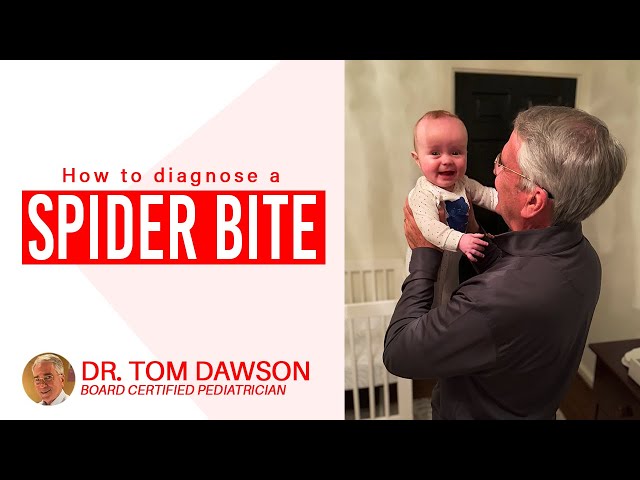 Is it a Skin Infection or a Spider Bite?