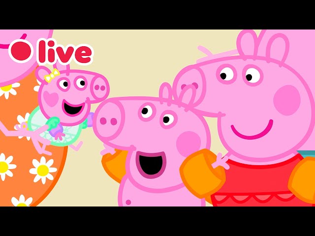🔴 Peppa Pig BEBÉ EVIE Episodios EN VIVO 🍼 Los Mejores Momentos de Evie 🥹 Dibujos para Niños