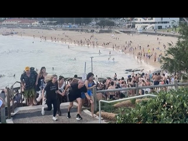 Special Report: Targeted shooting at Australia’s Bondi Beach leaves multiple dead