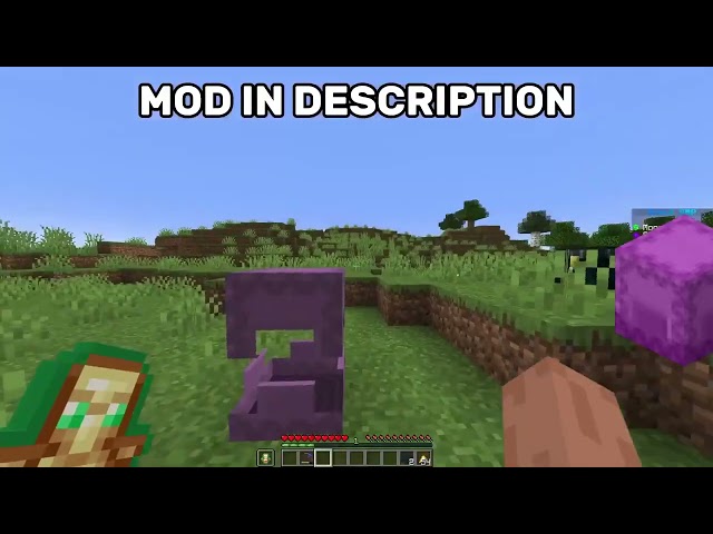 Private DonutSMP Dupe (Don't Leak!!!)