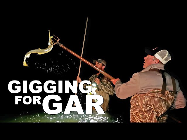 Gigging Gar in a Creek!