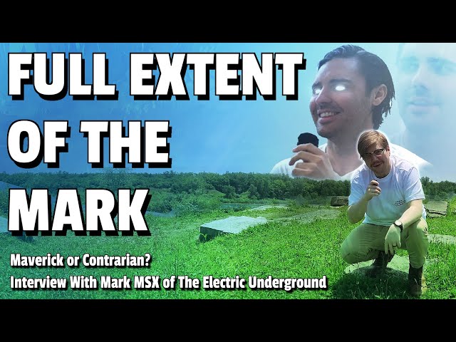 Maverick or Contrarian? Interview With Mark MSX of The Electric Underground.