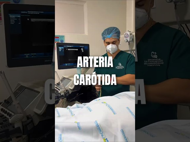 This Is What the ARTERY That Keeps Your BRAIN Alive Looks Like
