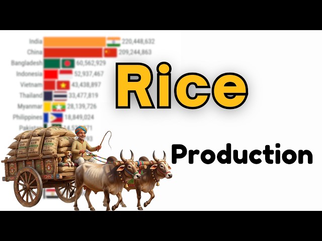 World's Largest Global Rice Producing Nations 1961–2026