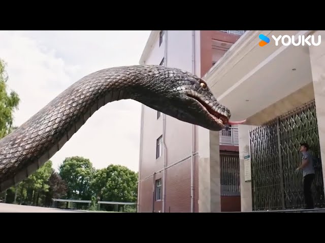 😨👦🐍Guy cornered by giant snake! | Rising Boas in a Girl's School | YOUKU MONSTER MOVIE