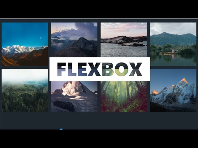 Responsive Image Gallery Using Flexbox | HTML&CSS |