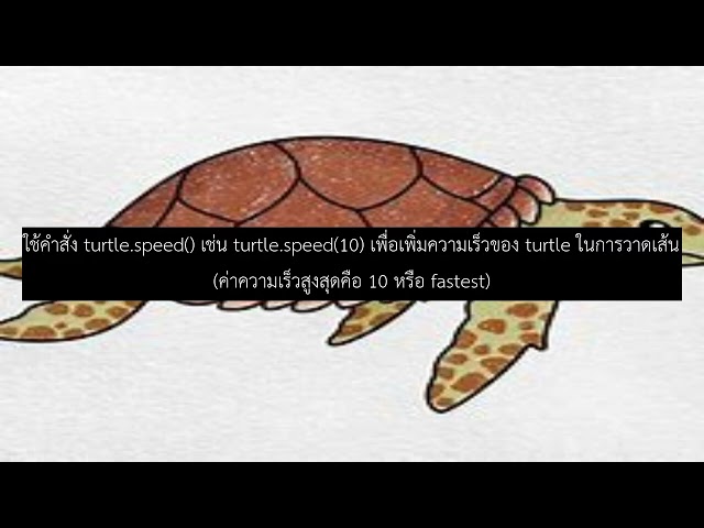 จะเพิ่มความเร็วของ turtle ในการวาดเส้นได้อย่างไร
