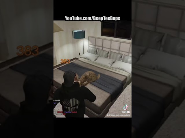 Rabbit of CHAOS (Watch more in my channel)