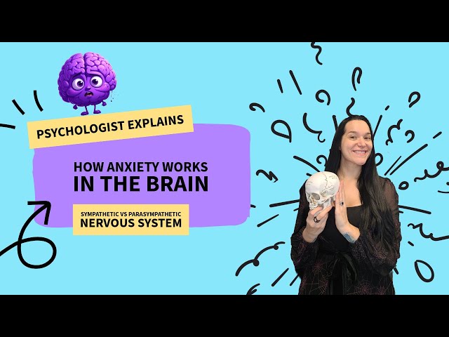 How Anxiety Works in the Brain | Sympathetic vs Parasympathetic Nervous System