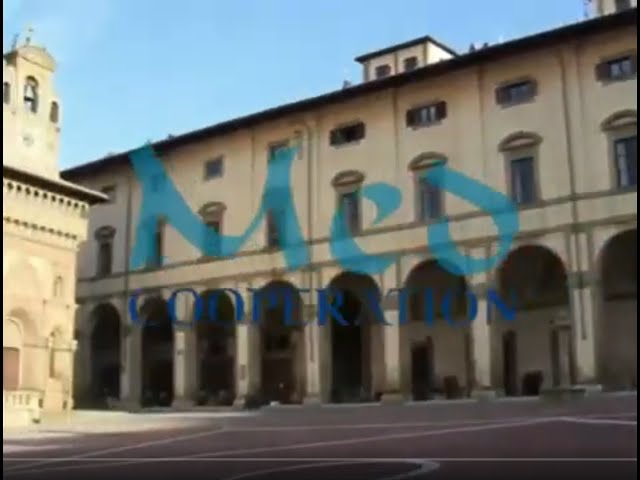 Med Cooperation rev 2