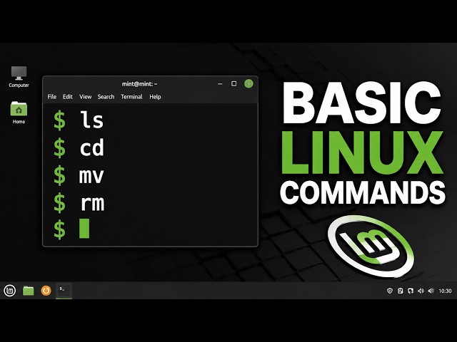 Linux Terminal Commands Every Beginner Should Know