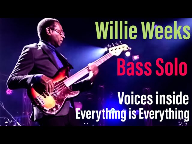Willie Weeks bass solo (Voices Inside / Everything is Everything)