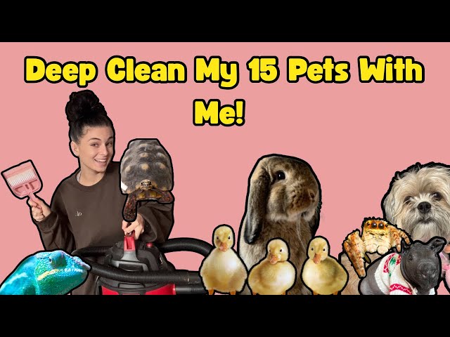 Clean ALL 15 Of My Pets With Me!