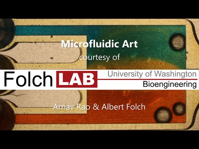 Microfluidic Art (Folch Lab): Amy Winehouse's "Back To Black" (with one-way valves)