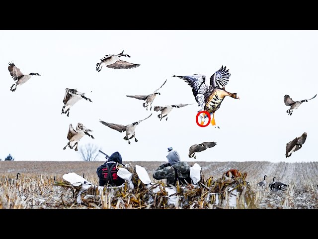2 MAN NORTH DAKOTA CORN FIELD BAND IN THE SNOW!
