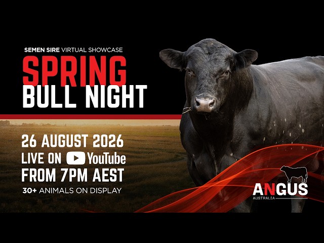 Spring Bull Night 2026