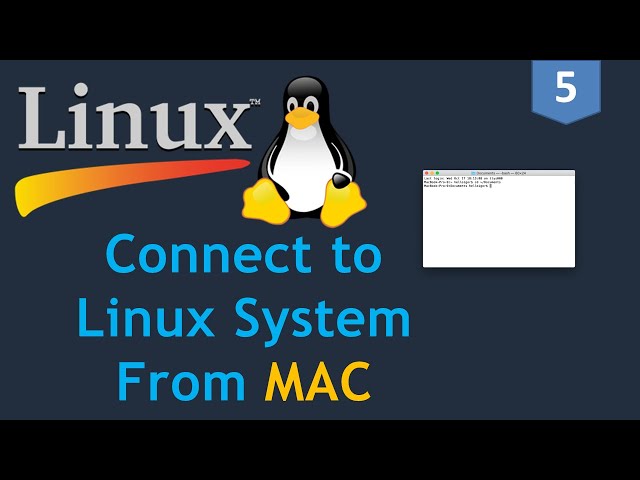 #5 - Linux for DevOps | Connect to a Linux EC2 Instance from MAC | MAC terminal for Linux