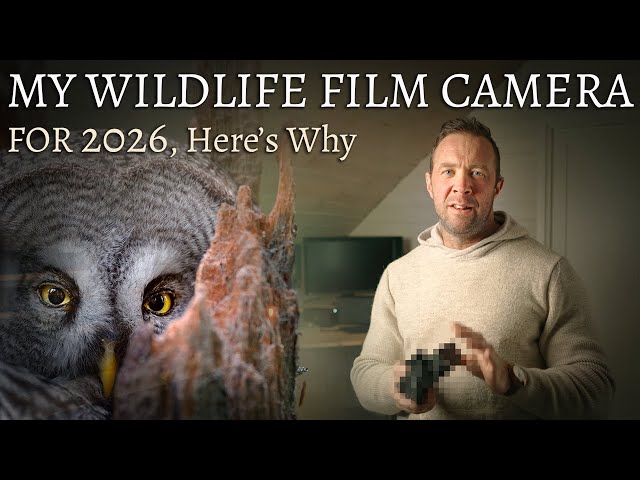 My Wildlife Film Camera for 2026 — Why I Ignore the Spec War and Choose What Matters (Here’s Why)