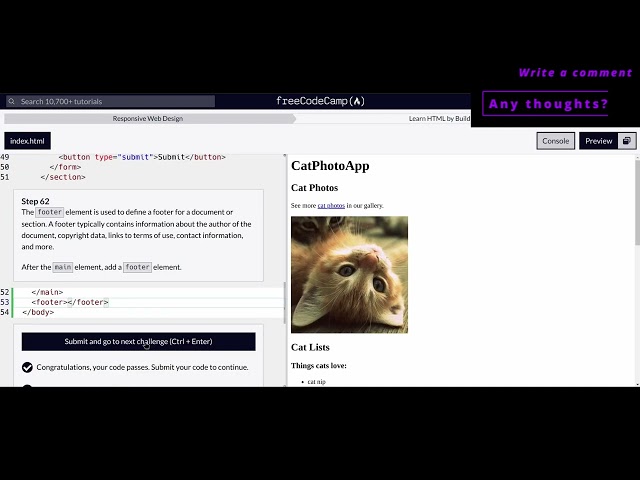Responsive Web Design - Cat Photo App - 61,62,63