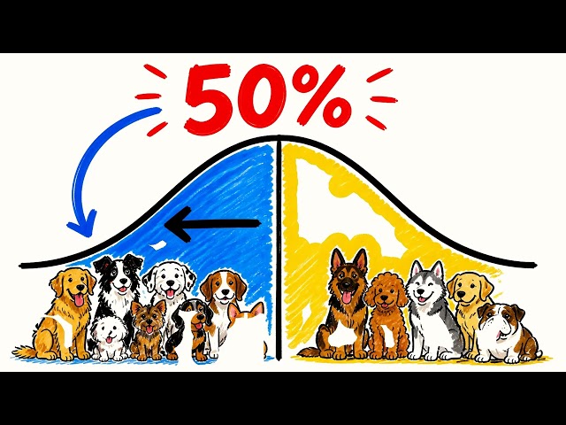 Normally distribution example for a dogs in a community