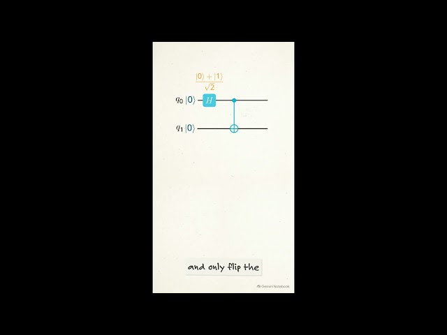 CNOT gate | Quantum Computing | Quantum Gates