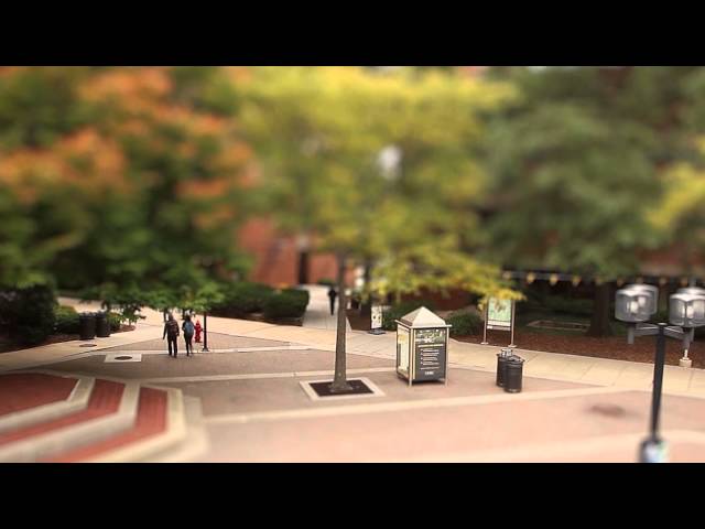 My Perspective: A Day At UMBC