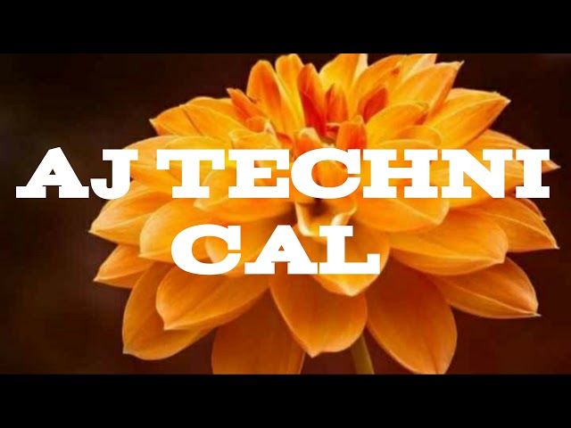 AJ Programming