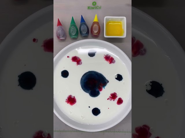 Colorful Milk Fireworks Science Experiment