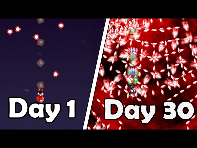 I Played One Month of Touhou as a Complete Beginner