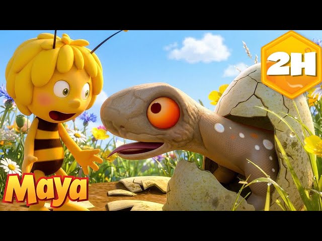 ¡Maya incuba un huevo! 🐣 La Abeja Maya 🐝 Recopilación | Dibujos para Niños