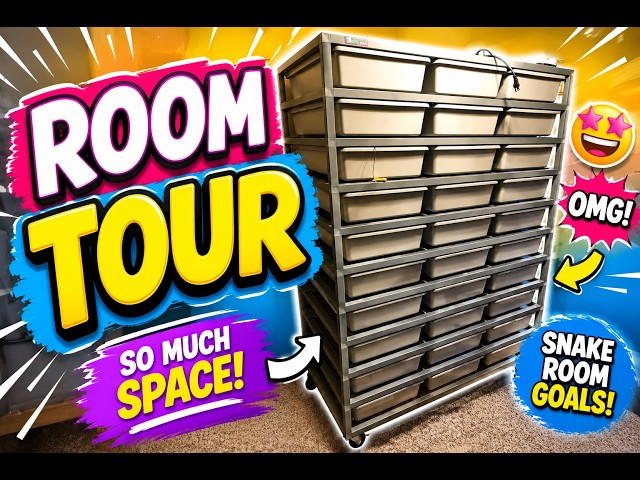2026 My Snake Room Tour
