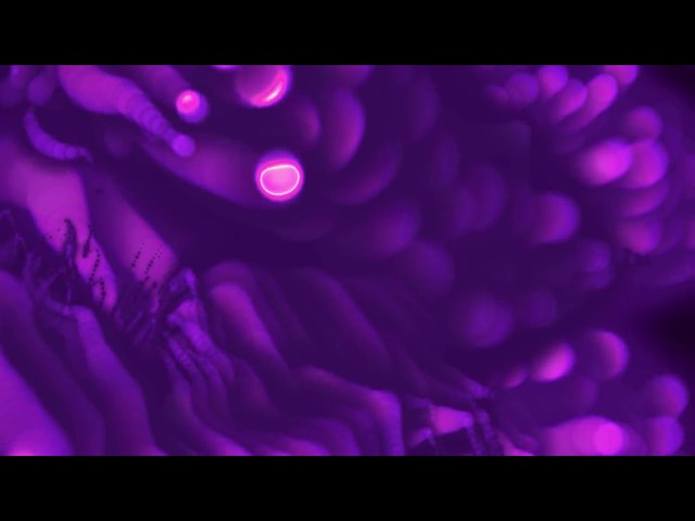 Sea Grass Motion like Worm