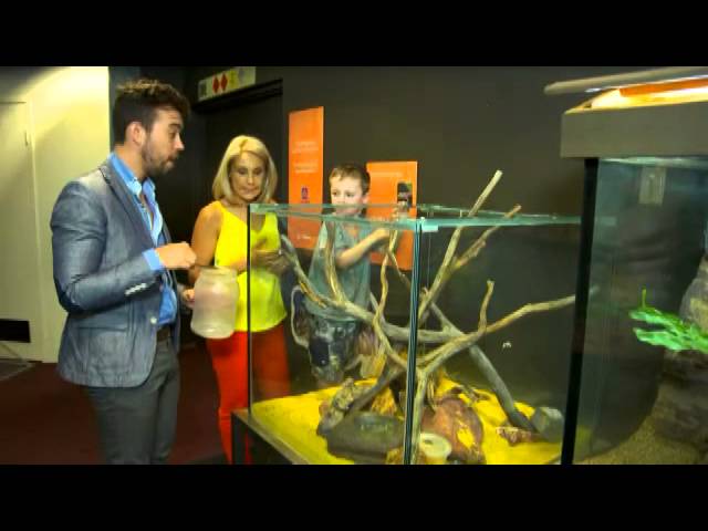 Destination WA - WA Museum: Discovery Centre