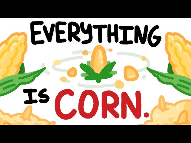 corn capitalism