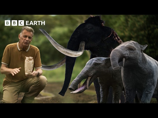 How Evolution ‘Solved a Problem of its Own Making’ | Evolution | BBC Earth Science