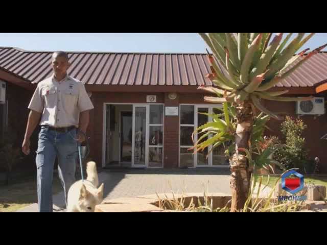 Mechem - Canine Business Unit