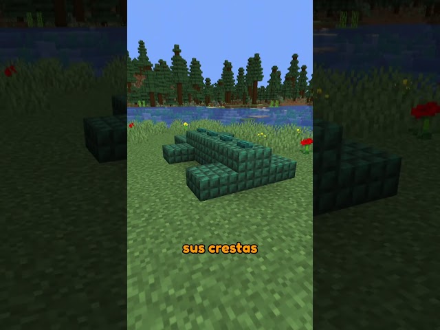 Hacks de construcción para Minecraft 11! 🤫