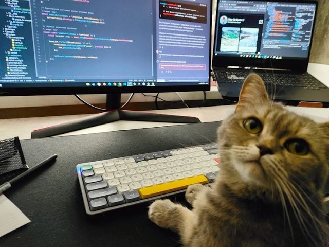 Leetcode Weekly Contest(518) | Competitive Programming