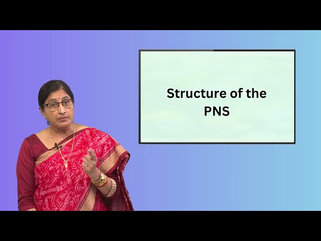 Control and Coordination @CBSE_TV_Channel