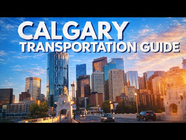 How to use Public Transportation in Calgary - No Car in Calgary? No Problem! - Calgary Living Guide